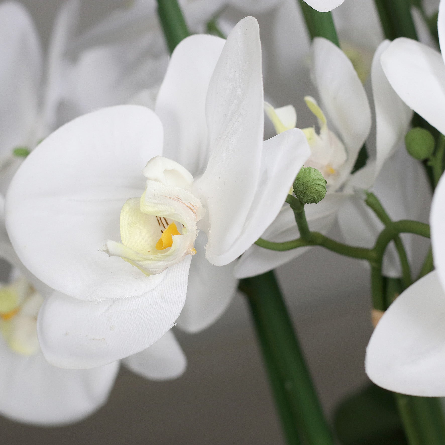 Detailbild Blütenstruktur künstliche Signature Orchidee klein
