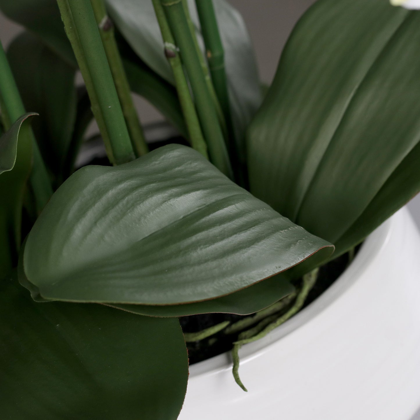 Detailbild Stielansatz künstliche Signature Orchidee klein