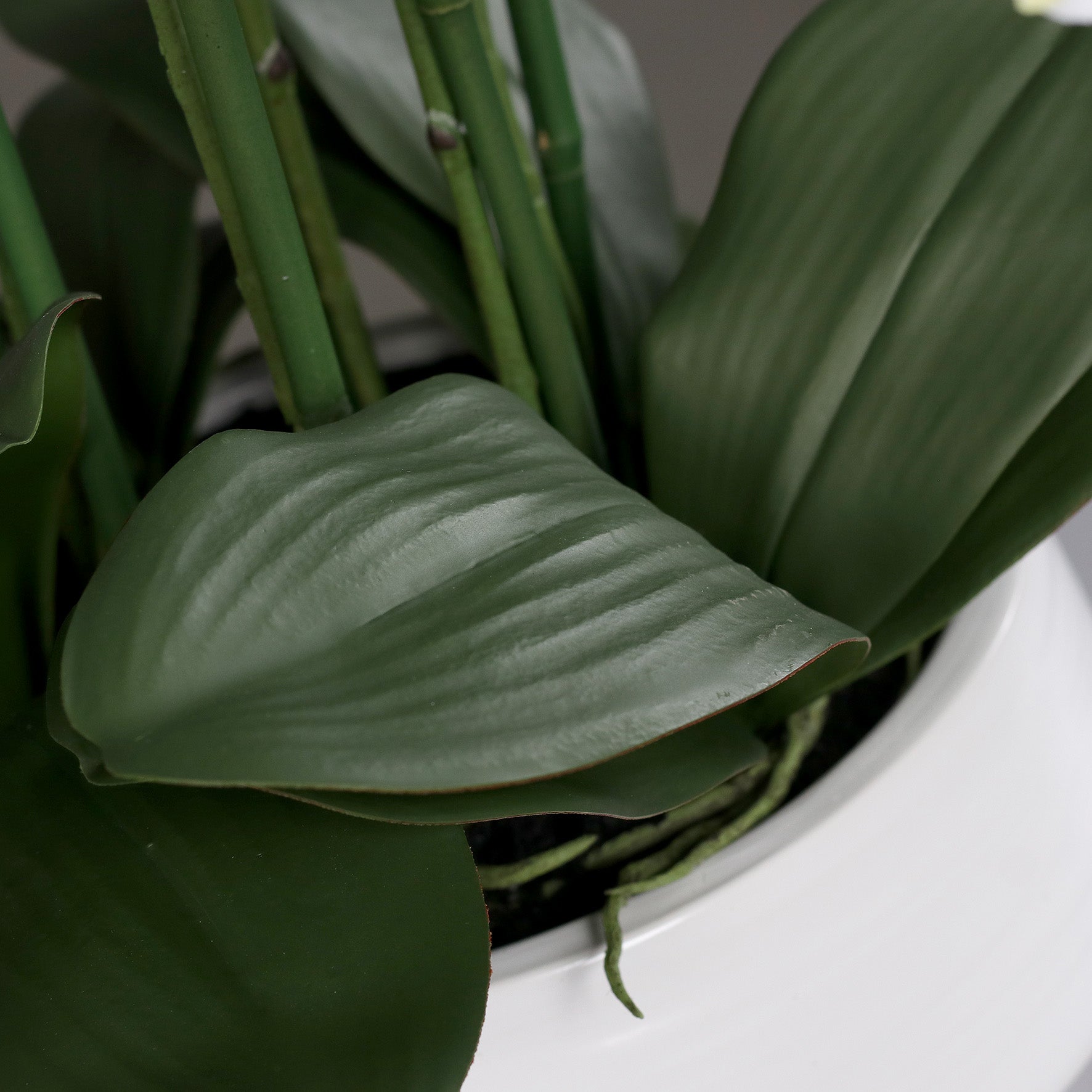 Detailbild Stielansatz künstliche Signature Orchidee klein