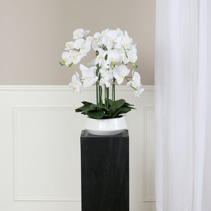 Künstliche Signature Orchidee klein mit stylischem Topf auf Podest im Interior