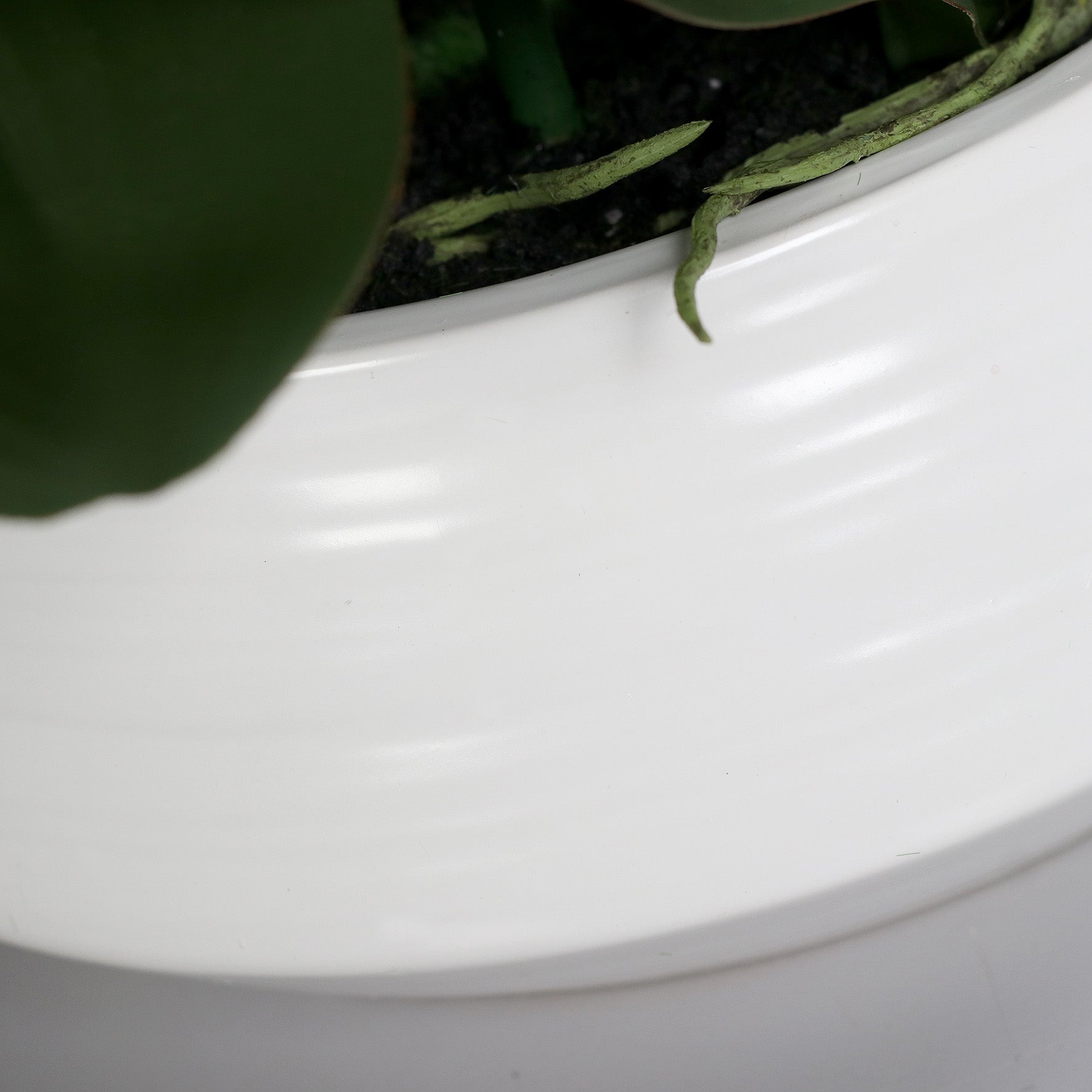 Detailbild weißer Topf künstliche Signature Orchidee klein