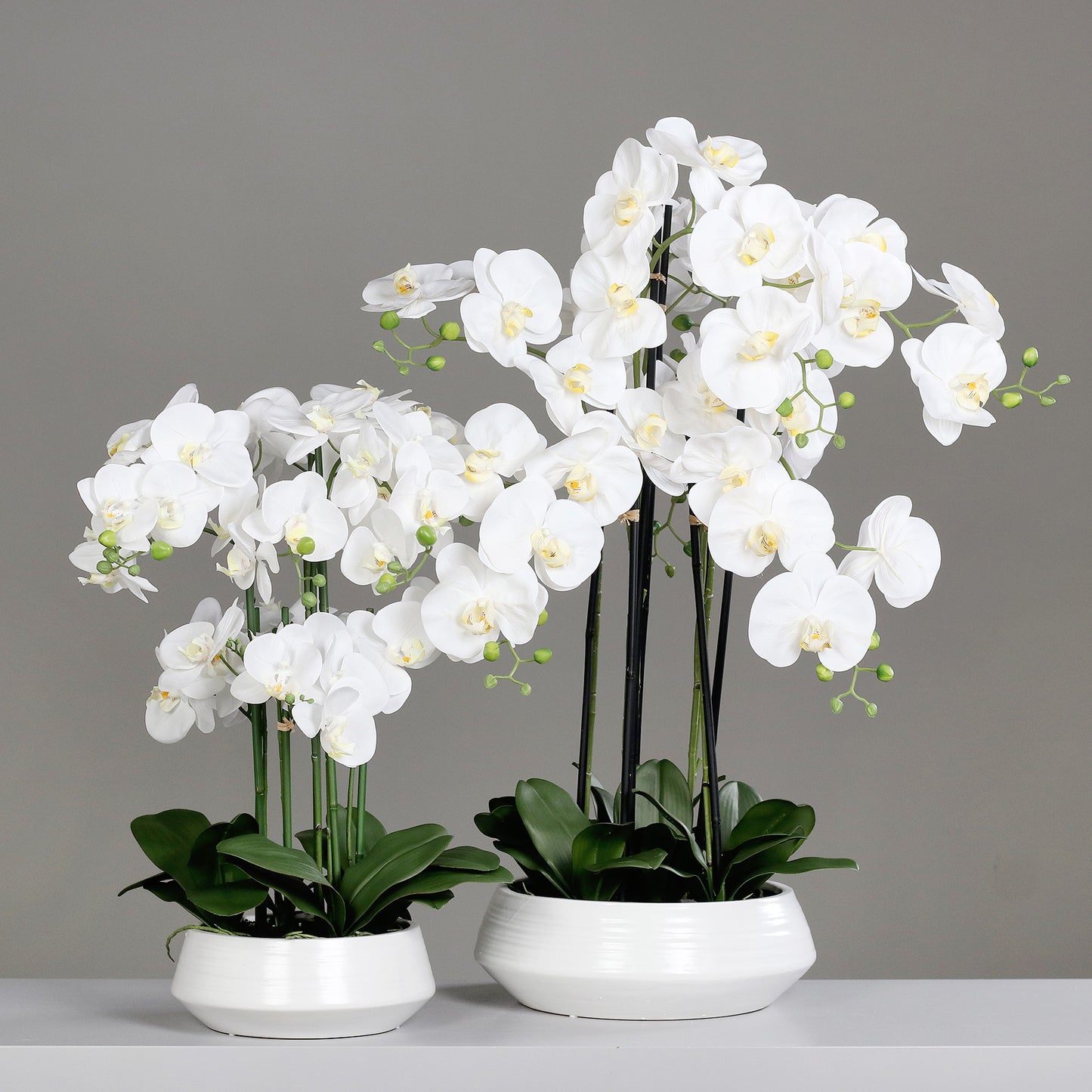 Künstliche Signature Orchidee Gruppenbild mit stylischem Topf