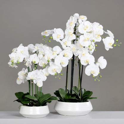 Künstliche Signature Orchidee Gruppenbild mit stylischem Topf