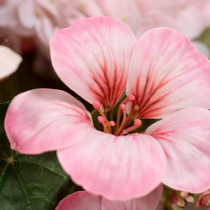 Detailbild einer pinken Blüte vom künstlichen Blumenstrauß Smoky Pink von Lumisa’s Choice in Rosé- und Cremetönen.