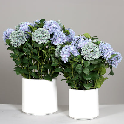 Zwei künstliche Premium Hortensien-Arrangements im Topf blau auf Tisch
