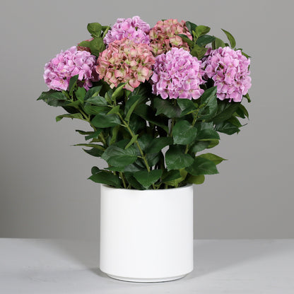 Großes künstliches Premium Hortensien-Arrangement im Topf pink auf Tisch