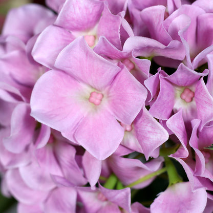 Nahaufnahme moderner künstlicher Hortensienblüten in pink