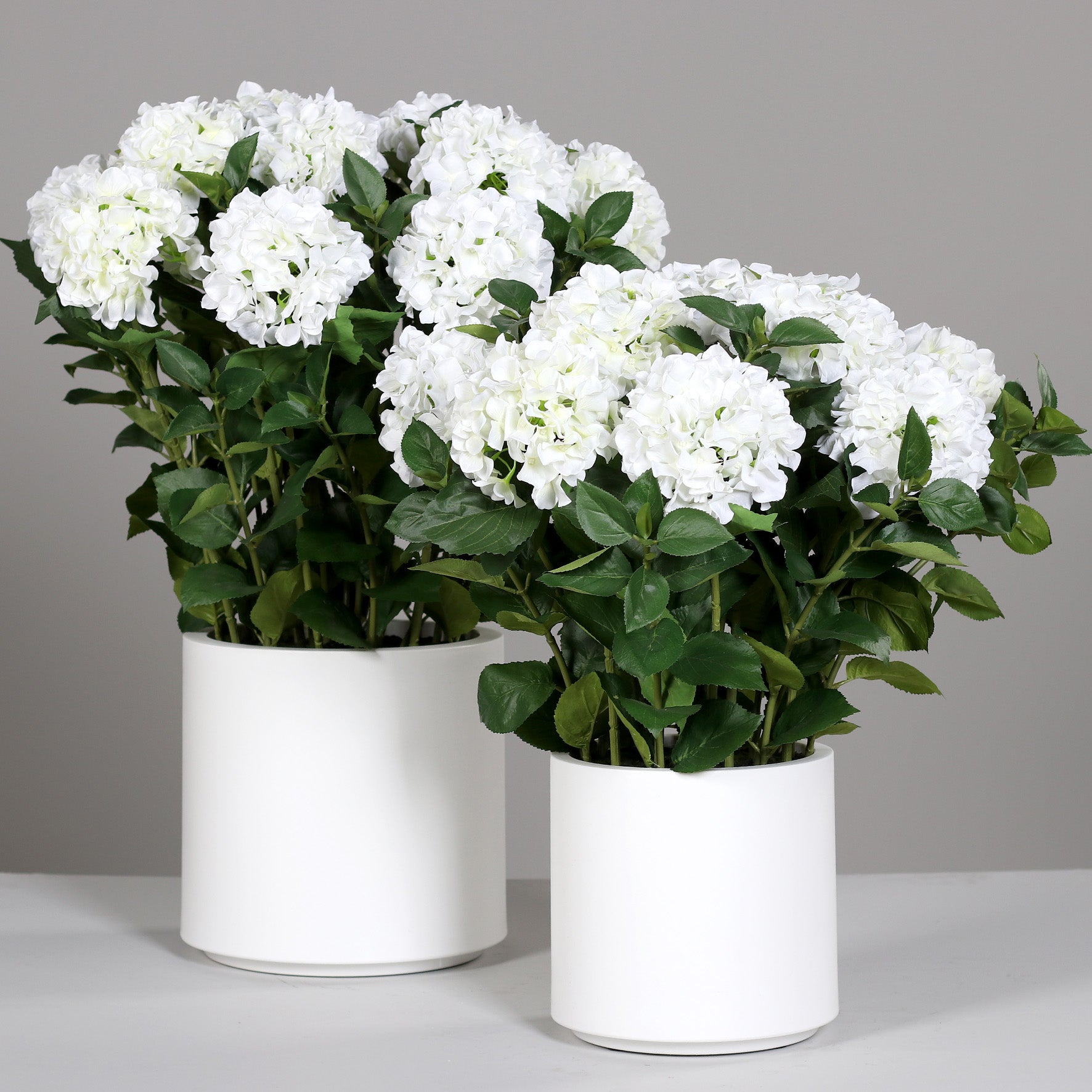Zwei künstliche Premium Hortensien-Arrangements im Topf weiß auf Tisch