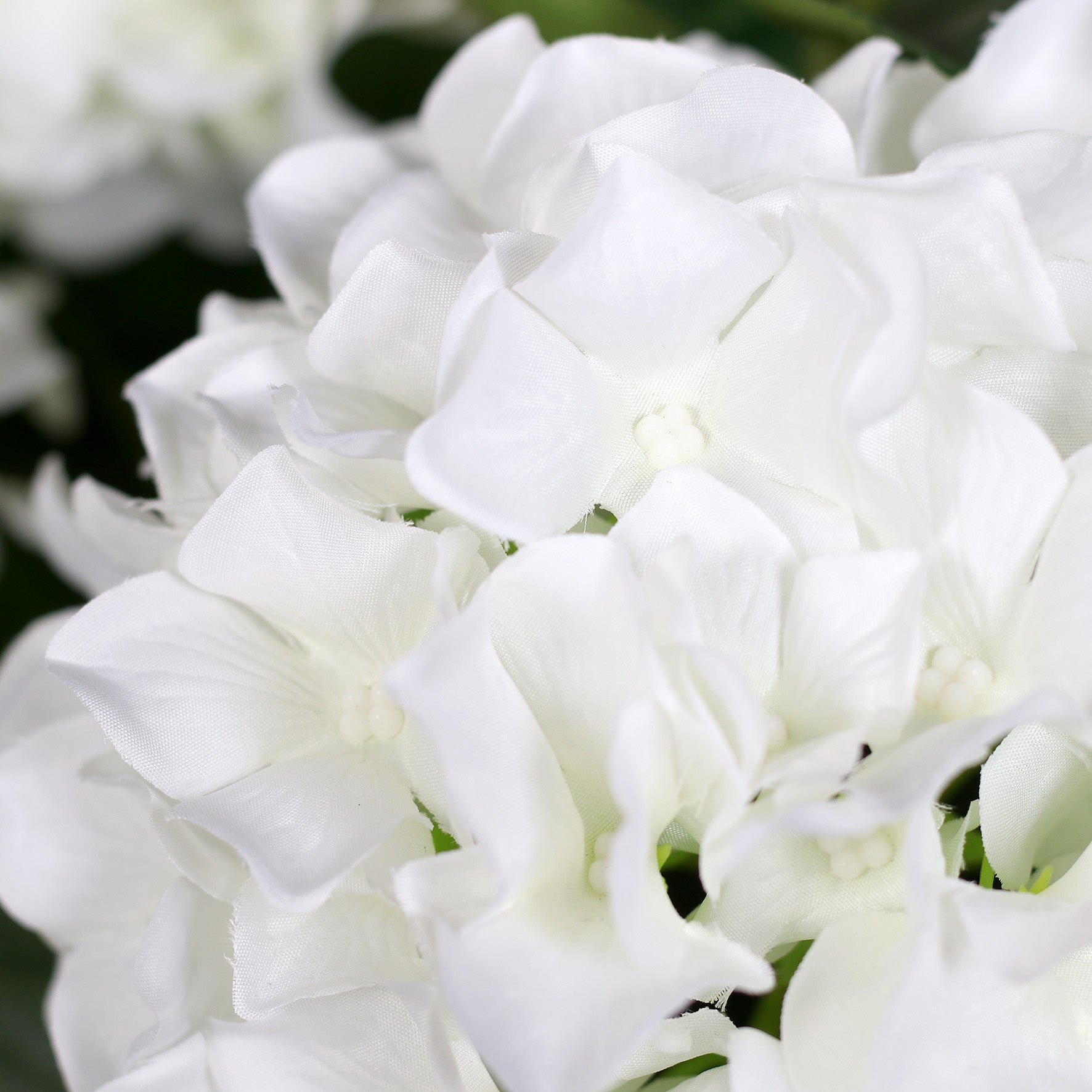 Künstliche hochwertige Blüten eines weißen Hortensien-Arrangements