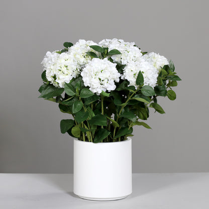 Kleines künstliches Premium Hortensien-Arrangement im Topf weiß auf Tisch