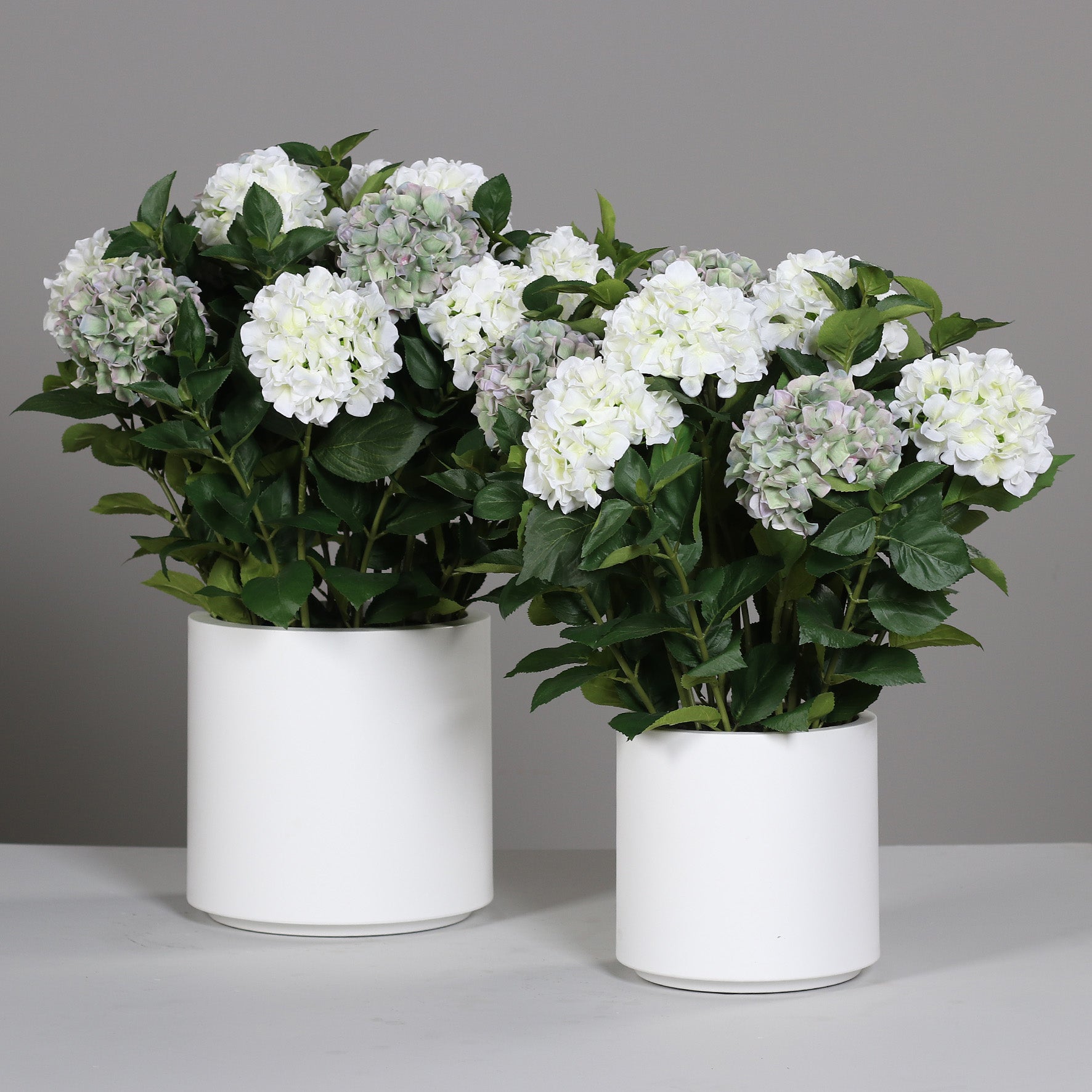 Zwei künstliche Premium Hortensien-Arrangements im Topf weiß auf Tisch