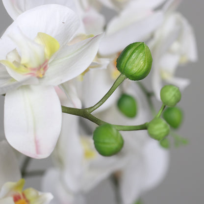Künstliche Statement Orchidee 100 cm Detailbild Knospen