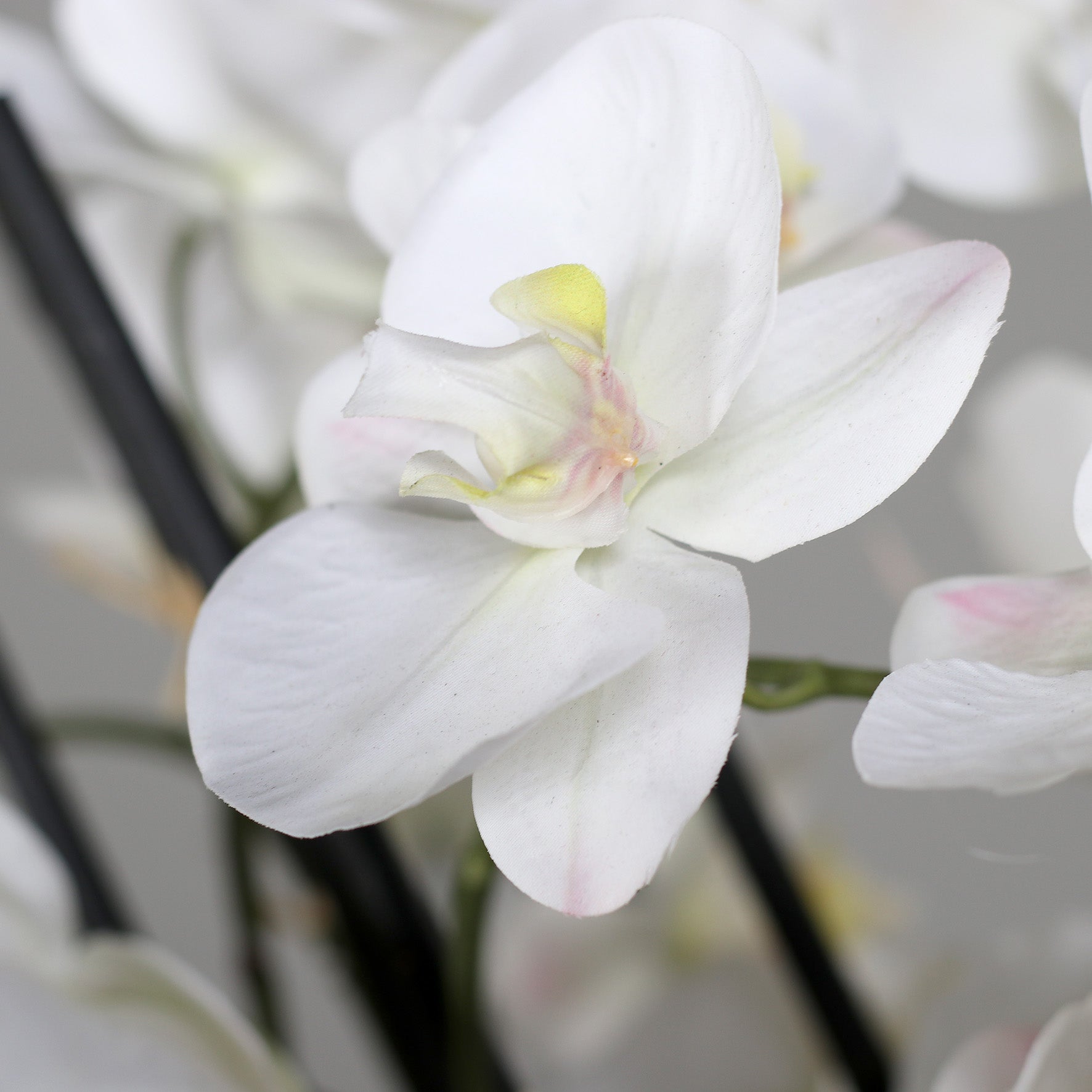Künstliche Statement Orchidee 100 cm Detailbild Blüten
