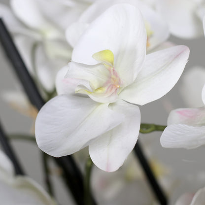 Künstliche Statement Orchidee 100 cm Detailbild Blüten