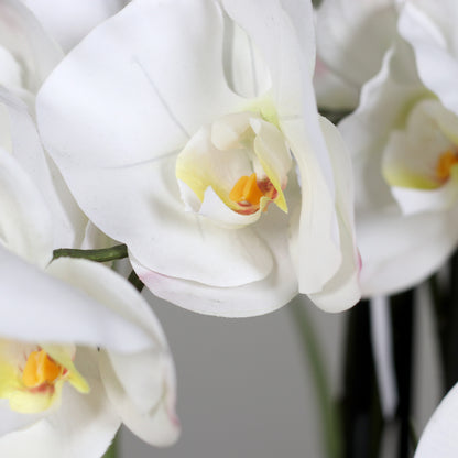 Künstliche Statement Orchidee 100 cm Detail weiße Blüten