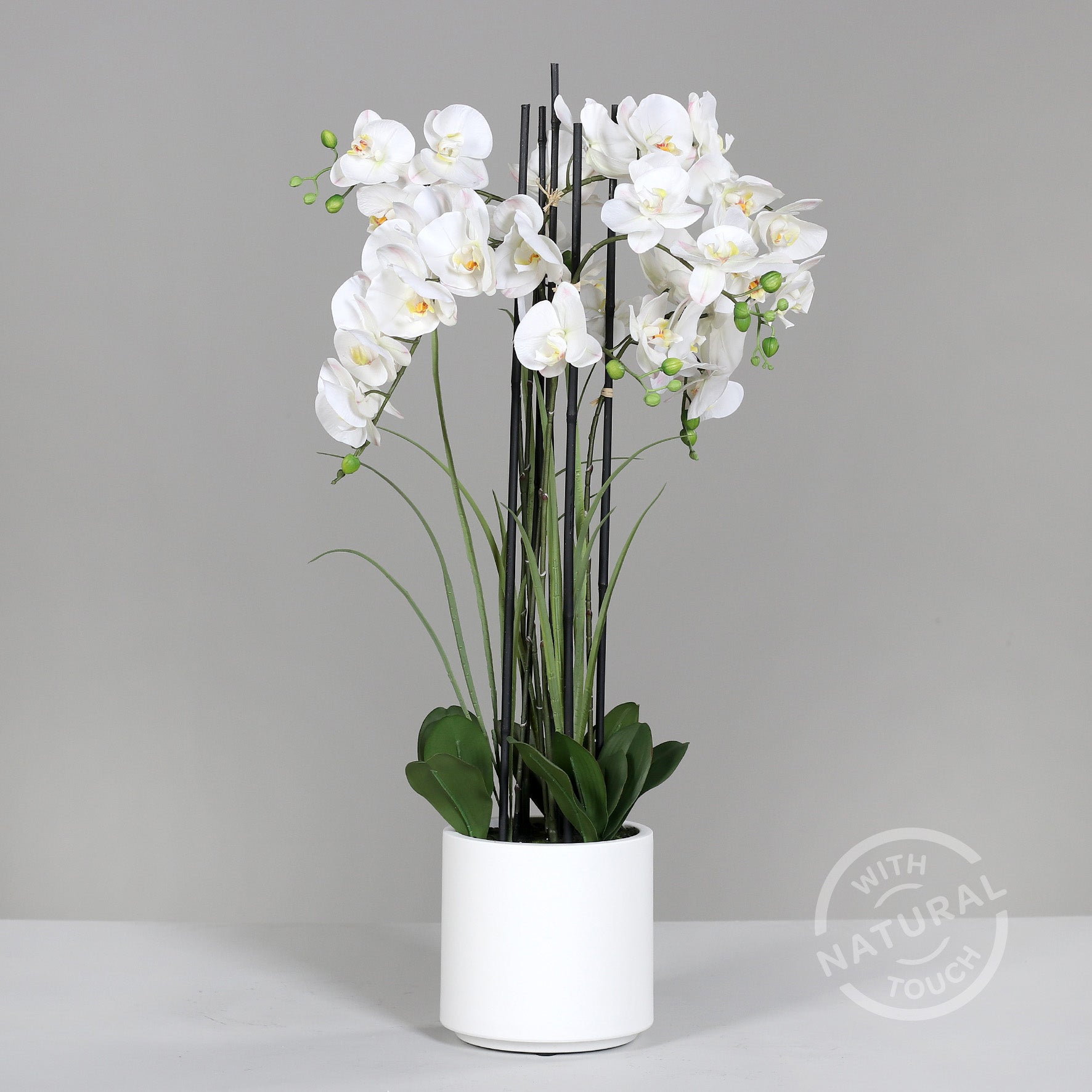 Künstliche Statement Orchidee mit weißen Topf 100 cm