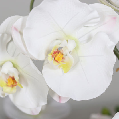 Künstliche Statement Orchidee 120 cm Detailbild Blüten