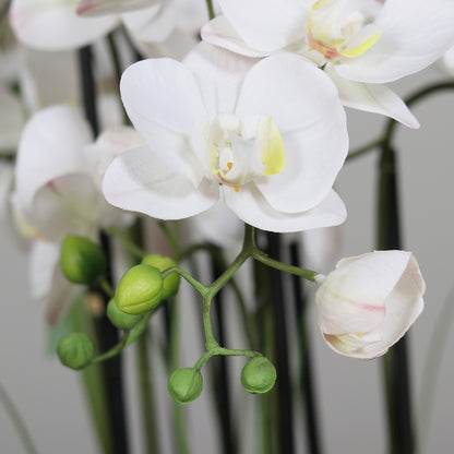 Künstliche Statement Orchidee 134 cm Detailbild Blüten mit Knospen