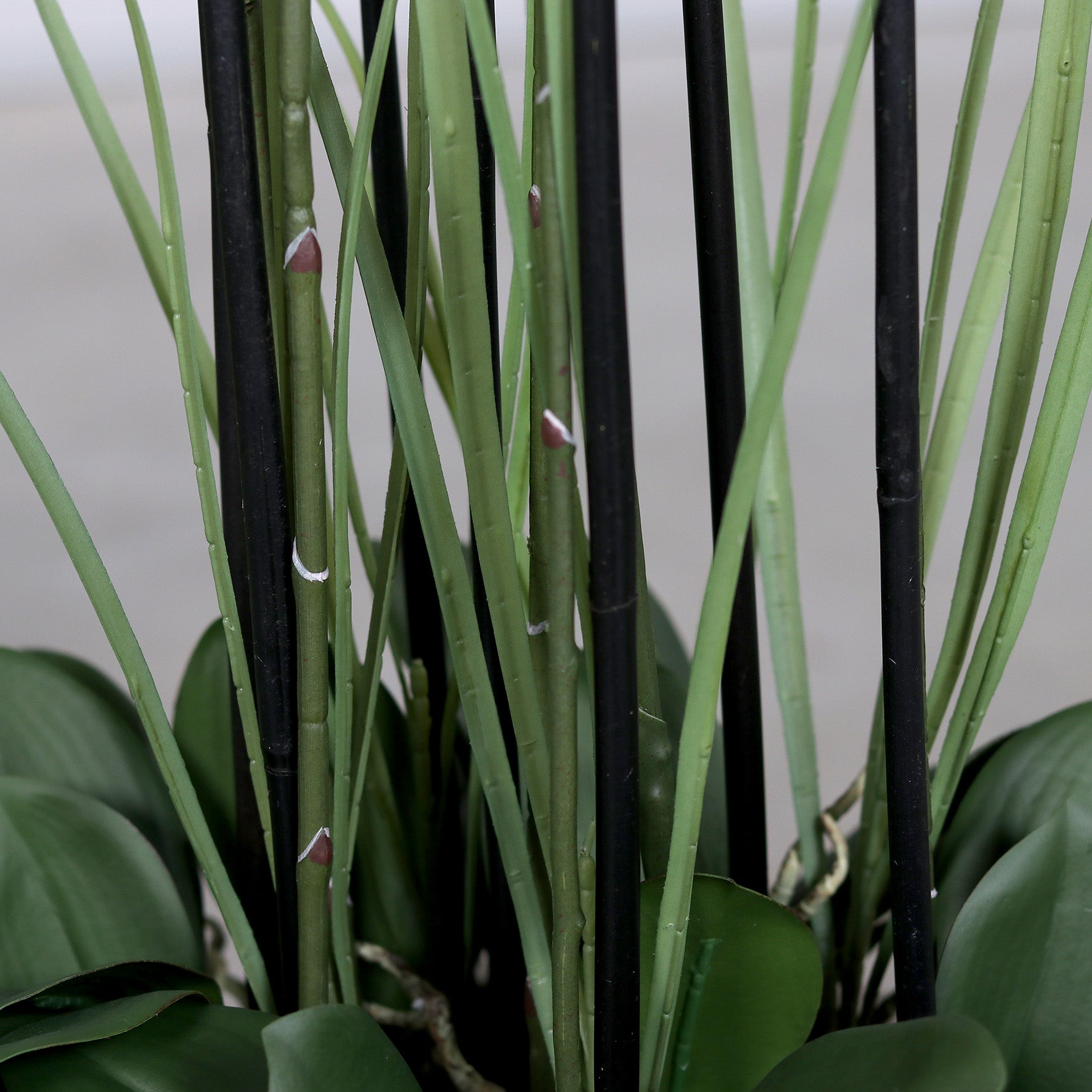 Künstliche Statement Orchidee 120 cm Detailbild Stielansatz mit Blätter