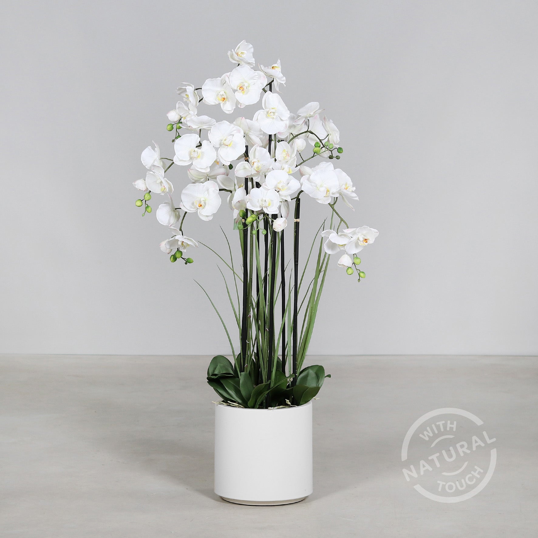 Künstliche Statement Orchidee mit weißen Topf 120 cm