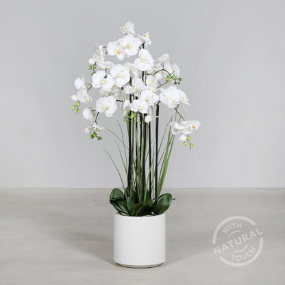 Künstliche Statement Orchidee mit weißen Topf 120 cm