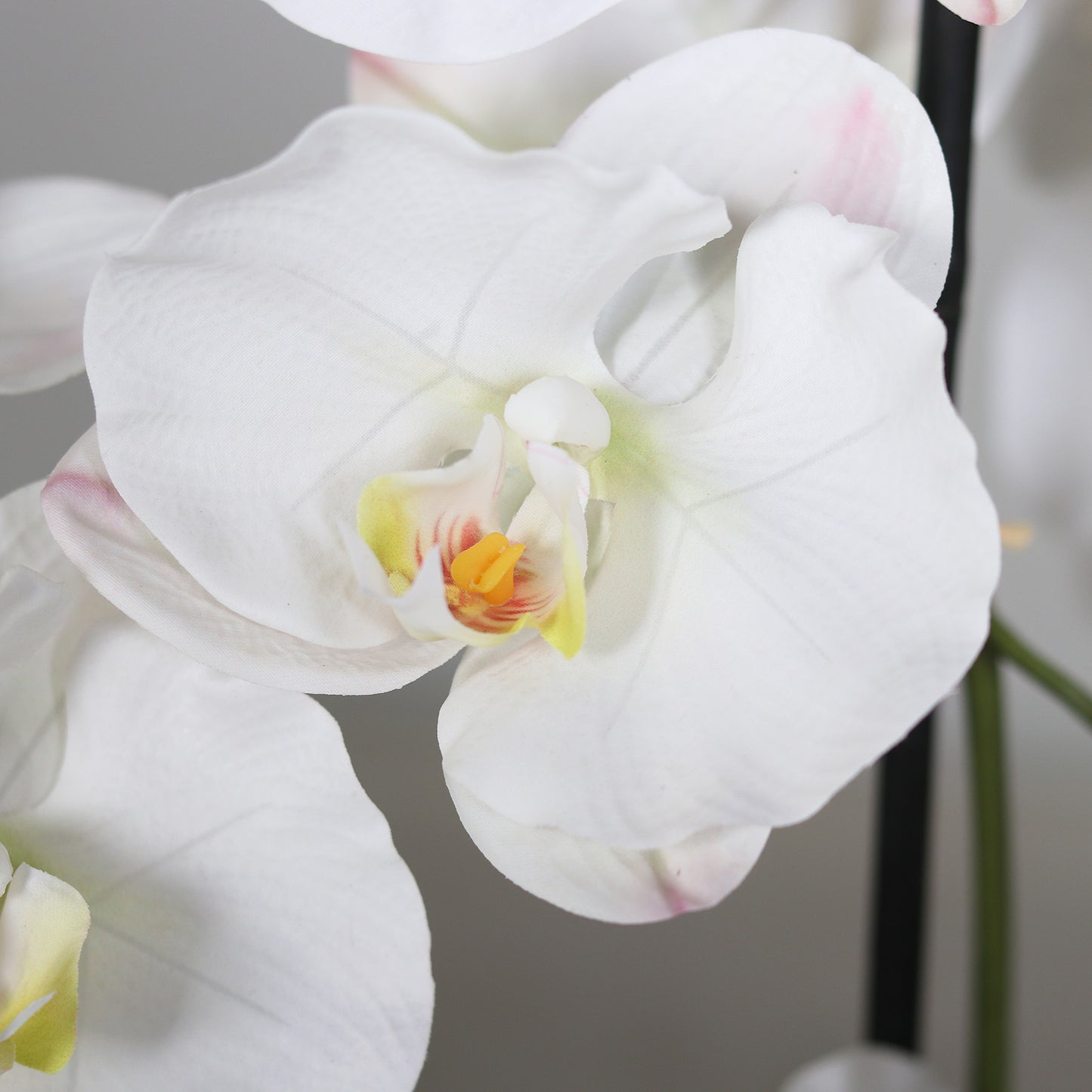 Künstliche Statement Orchidee 134 cm Detailbild Blüten