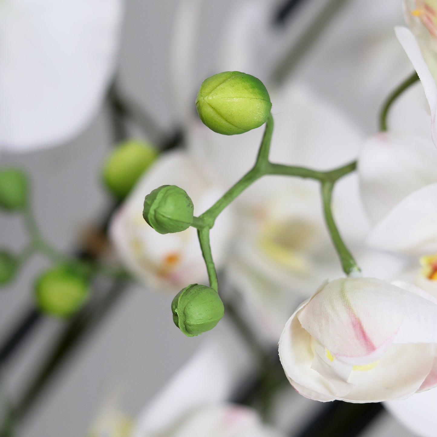 Künstliche Statement Orchidee 134 cm Detailbild Knospen