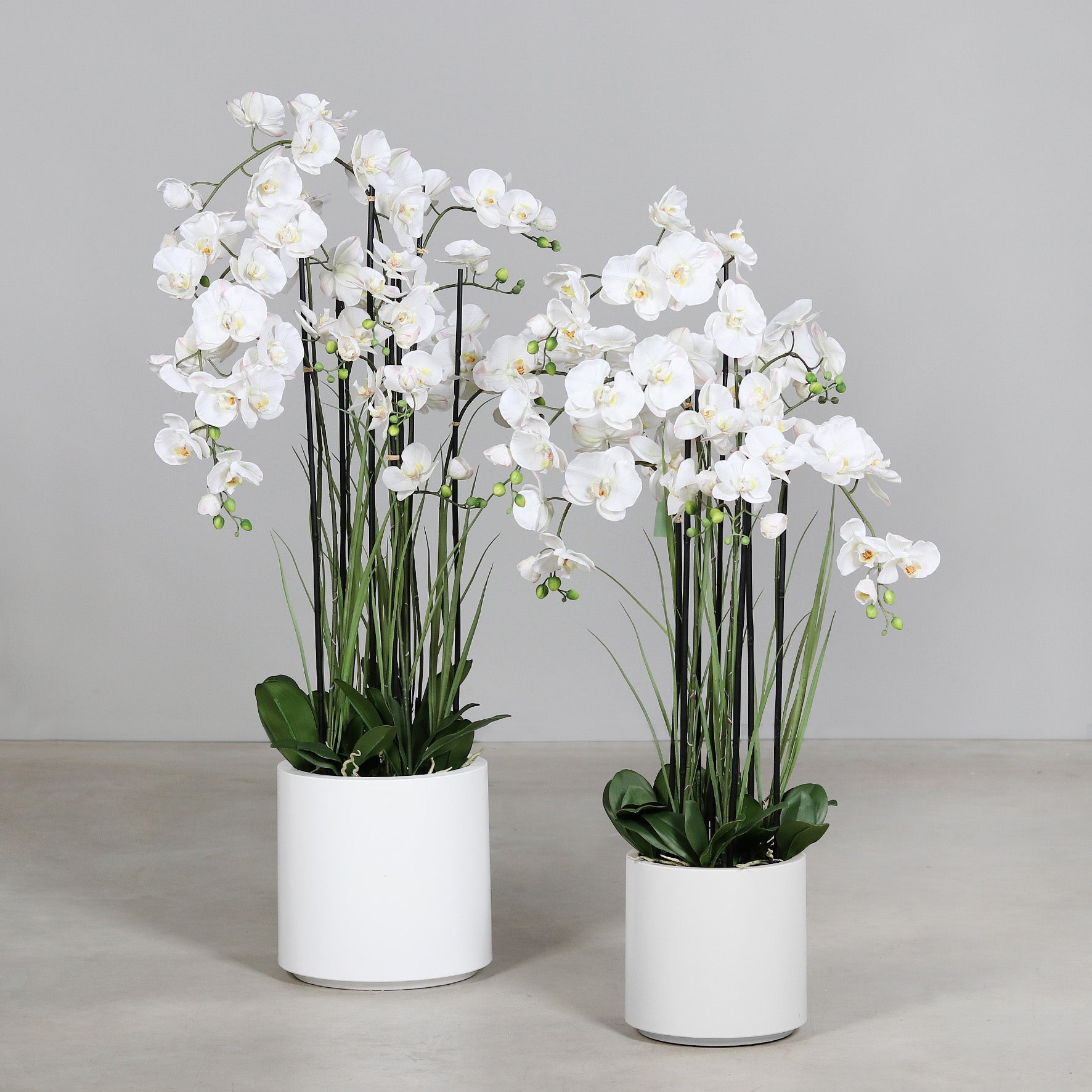 Künstliche Statement Orchidee mit weißen Topf Gruppenbild