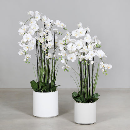 Künstliche Statement Orchidee mit weißen Topf Gruppenbild