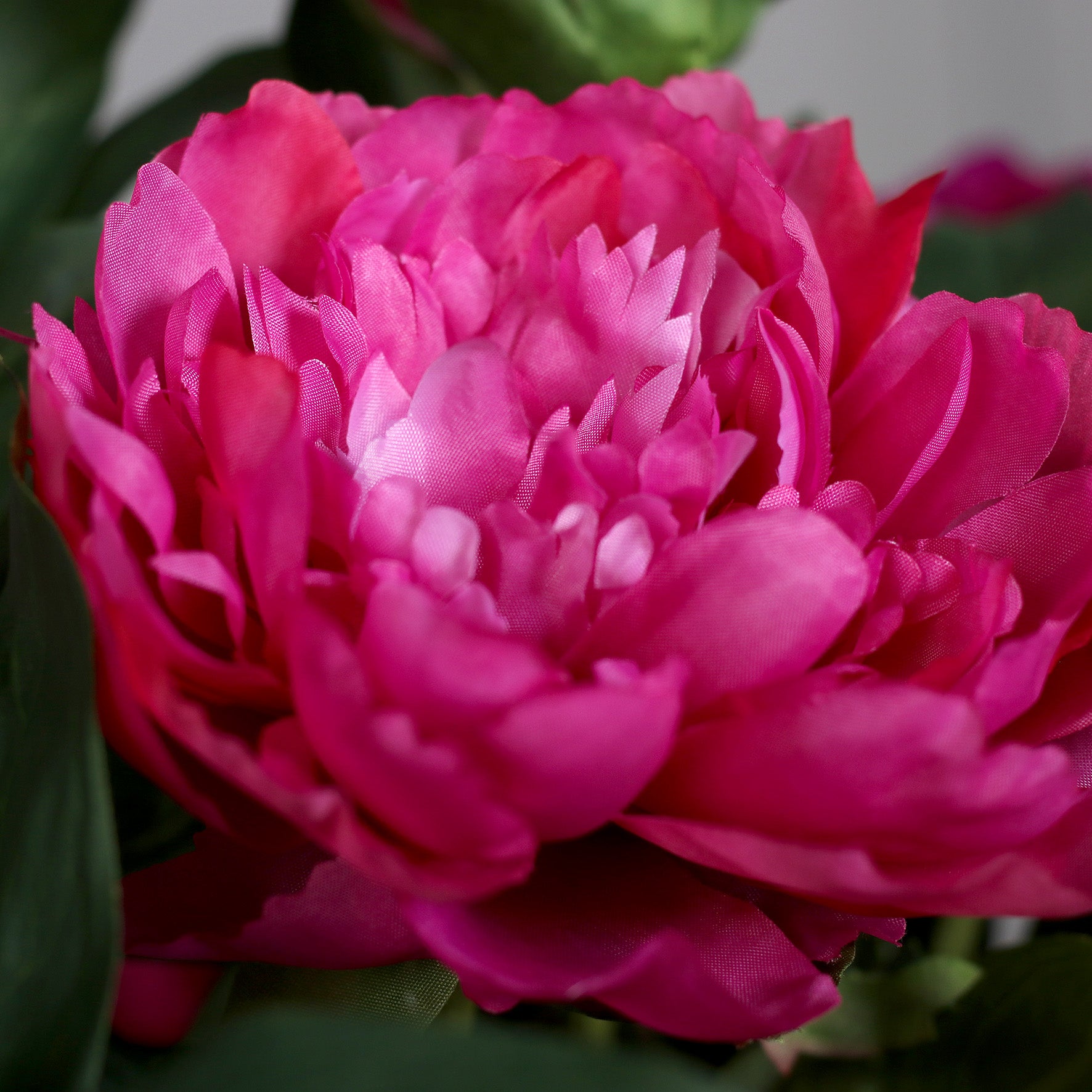 Detailbild einer modernen künstlichen pinken Päonie