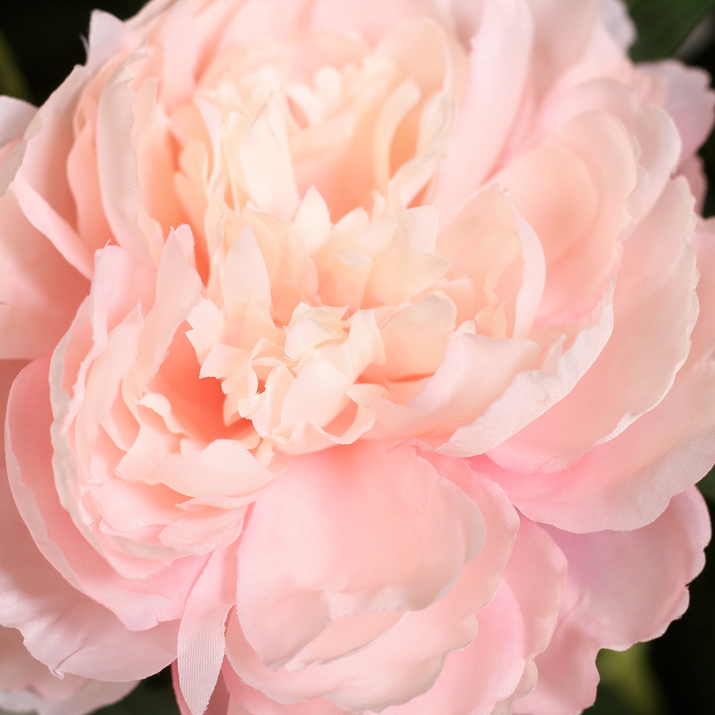 Detailbild einer modernen künstlichen roséfarbenen Päonie