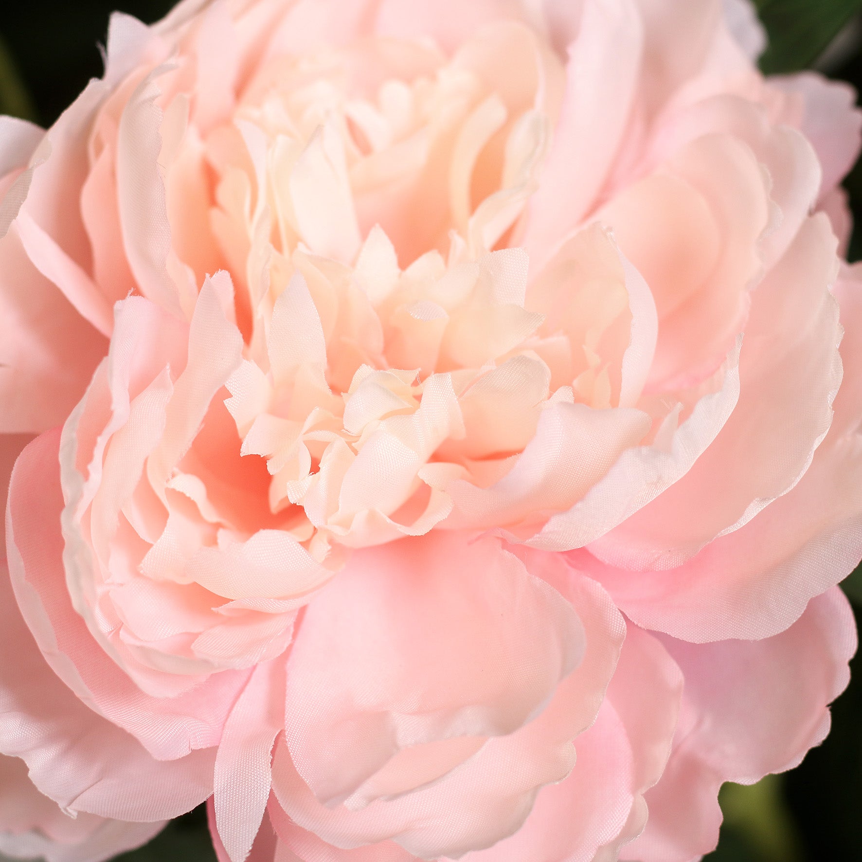 Detailbild einer modernen künstlichen roséfarbenen Päonie
