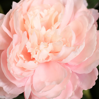 Detailbild einer modernen künstlichen roséfarbenen Päonie
