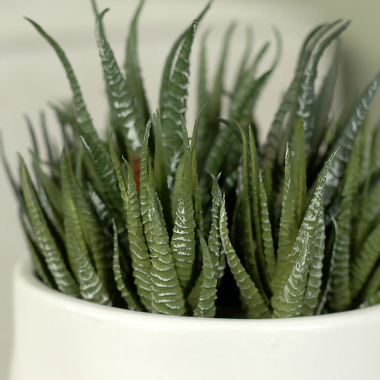 Detailbild von künstlicher Grünpflanze Sukkulente von Lumisa’s Choice in weißem Keramiktopf.